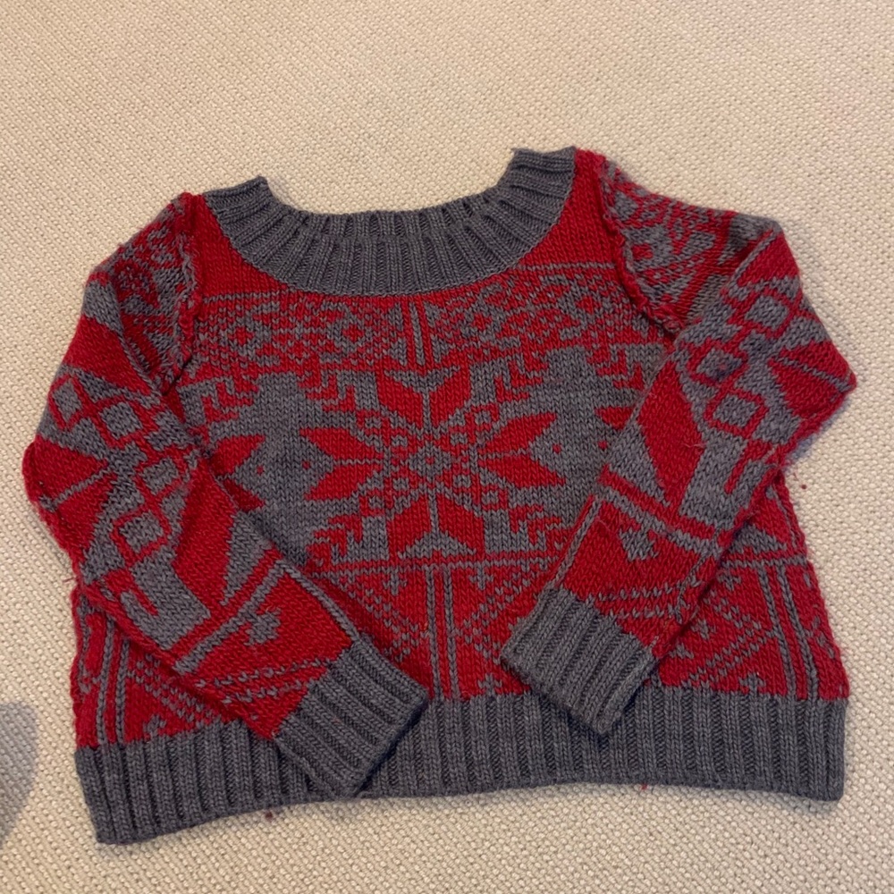 Free People Chunky Crop Sweater